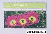 藏品(中華電信9031仙人掌四電話卡)的圖片