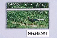 藏品(中華電信D6014藍腹鷴電話卡)的圖片