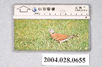 藏品(中華電信C0015-8027紅鳩電話卡)的圖片