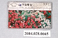 藏品(中華電信CH6031鳳仙花電話卡)的圖片
