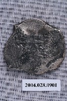 藏品(西班牙8里爾銀幣)的圖片