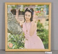 藏品(味全罐頭廣告海報)的圖片