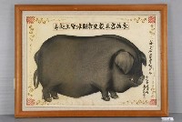 藏品(霄裡太陽照相館黑豬畫像)的圖片