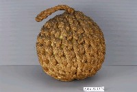 藏品(麻繩編製船舶靠球)的圖片