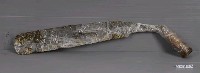 藏品(五齒鉤鋸)的圖片