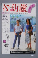 藏品(《小胡蘆》電影海報)的圖片