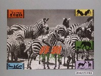 藏品(《非洲/北市兒童育樂中心-明日世界》電影《非洲》放映活動海報)的圖片