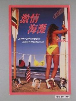藏品(《激情海灘》電影海報)的圖片