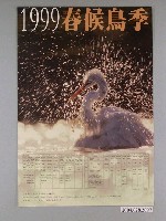 藏品(中華民國野鳥協會主辦「1999春候鳥季」活動海報)的圖片