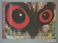 藏品(中華民國野鳥學會主辦「鳥類自然生態影像巡迴展」海報)的圖片