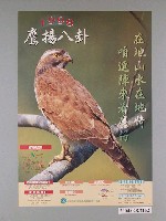 藏品(臺灣省旅遊局八卦山風景區管理所主辦「1998鷹揚八卦」活動海報)的圖片