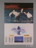 藏品(中華民國野鳥學會主辦「1998春候鳥季－春漾」海報)的圖片