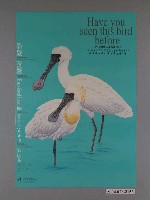 藏品(行政院農業委員會辦理黑面琵鷺特展「你看過這種鳥嗎？」海報)的圖片