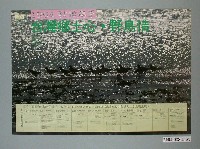藏品(中華民國野鳥學會主辦「1994秋候鳥季」海報)的圖片