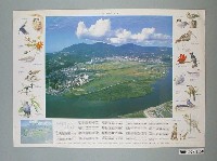 藏品(劉克襄撰文「關渡生態文化之旅」文宣)的圖片