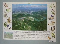 藏品(劉克襄撰文「瑠公圳水源地生態之旅」文宣)的圖片