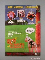 藏品(《看狗在說話》電影海報)的圖片