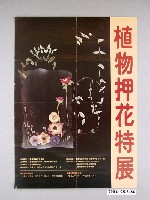 藏品(臺灣省立博物館主辦「植物押花特展」海報)的圖片