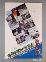 藏品(台北市立動物園辦理「帶你與動物做朋友」可愛動物季海報)的圖片