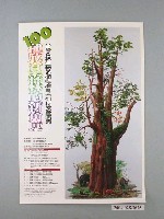 藏品(臺灣省林業試驗所以及台灣生態藝術基金會籌備處主辦「100中欣賞森林的新角度」台灣森林生物多樣性繪畫系列特展暨演講海報)的圖片