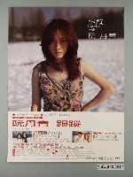 藏品(《跟蹤-阮丹青》專輯發行海報)的圖片