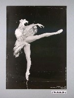 藏品(法國巴黎演員ELISABETH MAURIN海報)的圖片