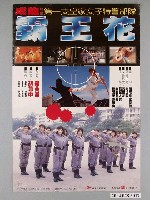 藏品(《霸王花》電影海報)的圖片