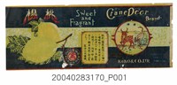 藏品(高湖罐頭公司製鶴鹿牌楊桃罐頭商標)的圖片