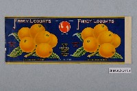 藏品(KIYONOBU製枇杷罐頭商標)的圖片