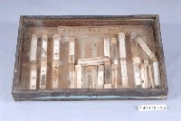 藏品(臺灣重要農作物害蟲標本)的圖片