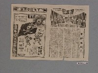 藏品(《荒野雄獅》電影本事)的圖片