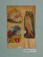 藏品(美女、兔子和狗等圖樣貼紙)的圖片