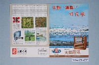 藏品(大同電視廣告單)的圖片