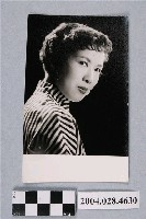 藏品(高寶樹照片)的圖片