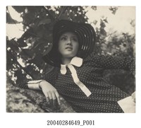 藏品(俞定彌攝影比賽參加照片)的圖片