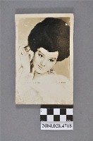 藏品(何莉莉照片)的圖片