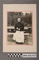 藏品(蔣中正照片)的圖片