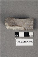 藏品(花蓮支亞干遺址磨製石錛)的圖片