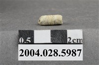 藏品(花蓮港口遺址貝管珠)的圖片