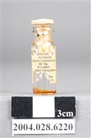 藏品(玻璃藥瓶)的圖片