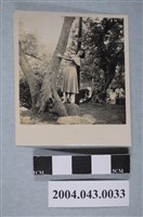 藏品(女子於樹旁獨照)的圖片