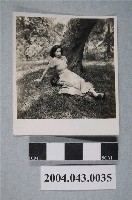 藏品(女子樹蔭下獨照)的圖片