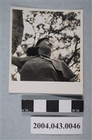 藏品(女子獨照)的圖片