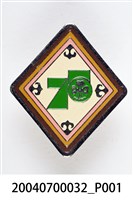 藏品(中華民國女童軍紀念章)的圖片