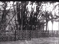 藏品(《南進臺灣》第6卷)的圖片