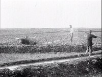 藏品(《幸福的農民》第2卷)的圖片