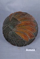 藏品(雕刻彩繪芭蕉紋圓漆盤)的圖片