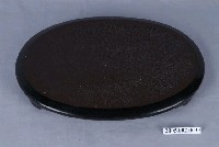 藏品(漆器古董座)的圖片
