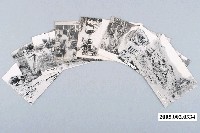 藏品(臺中大地震)的圖片