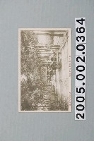 藏品(佐藤商店發行恆春鵝鑾鼻並木道路)的圖片